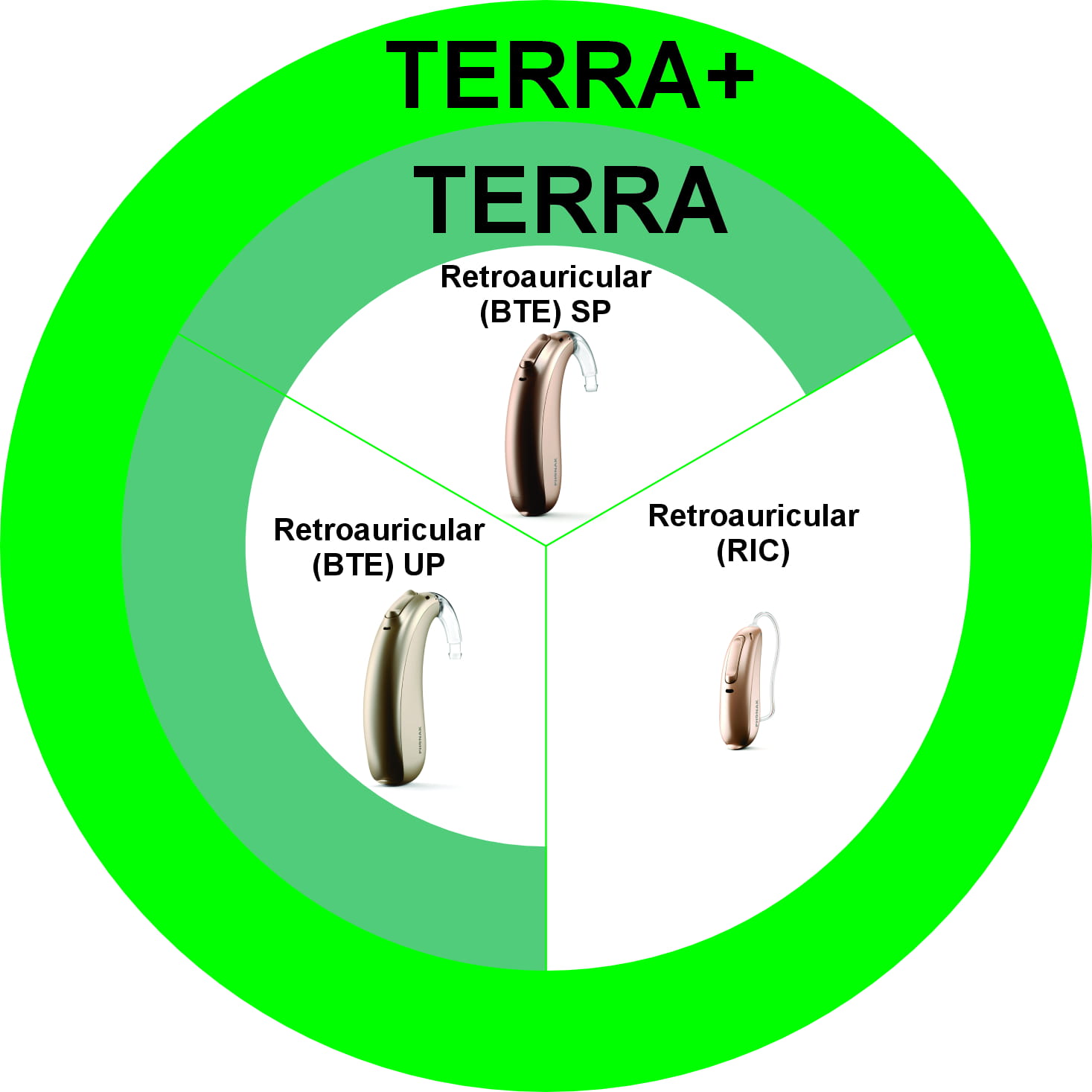 Modelos Terra Disponibles